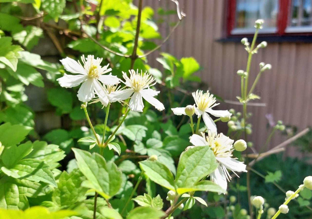 בית הארחה Alingsås 	Flora Dekor Gaestgard מראה חיצוני תמונה